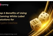 Crypto iGaming White Label Solutions