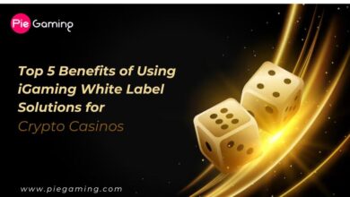 Crypto iGaming White Label Solutions