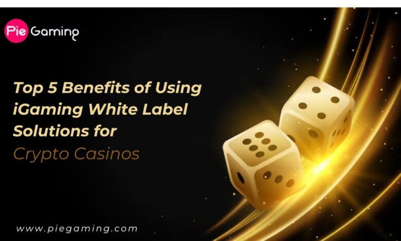 Crypto iGaming White Label Solutions