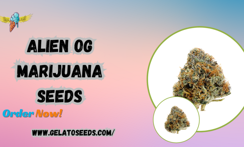 Alien OG Marijuana Seeds