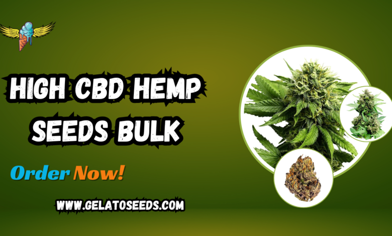 high CBD hemp seeds bulk