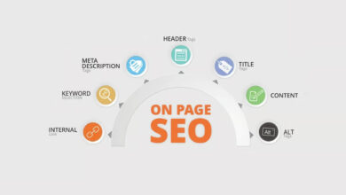 On-Page SEO Experts in Florida