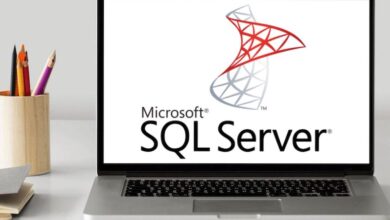 SQL Server consultant