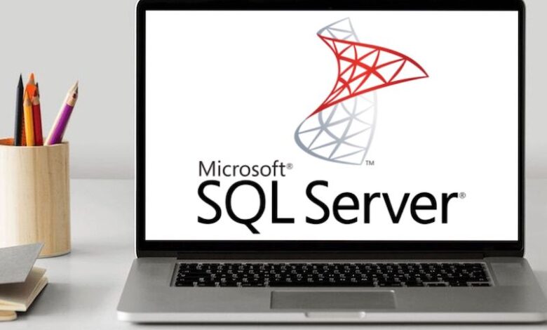 SQL Server consultant