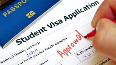 Key Regulations and Requirements for Obtaining a Student Visa