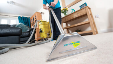 Transform Your Home with Carpet Cleaning in St Ives