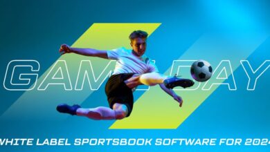 Consider White Label Sportsbook Software for 2024