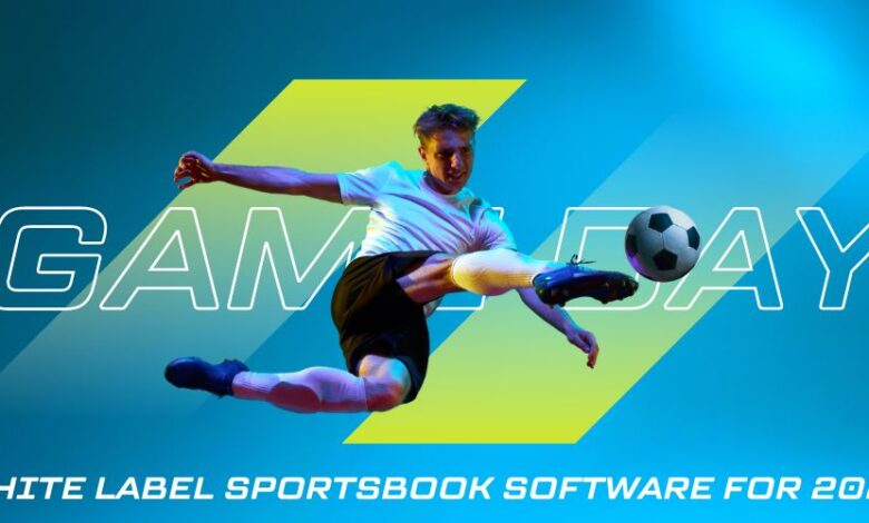 Consider White Label Sportsbook Software for 2024