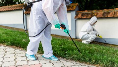 Pest Control Guide to Effective and Bed Bug Treatment