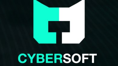 Cyfersoft