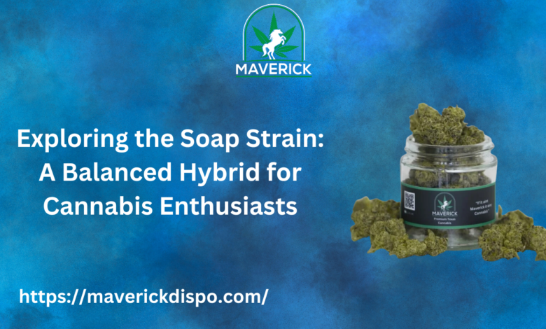 SOAP Strain