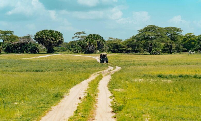 Best safari in Africa