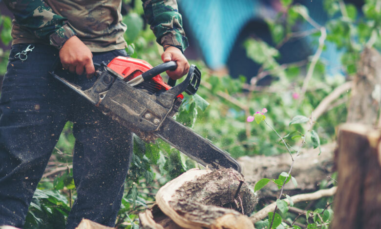 tree service