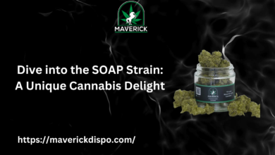 SOAP Strain