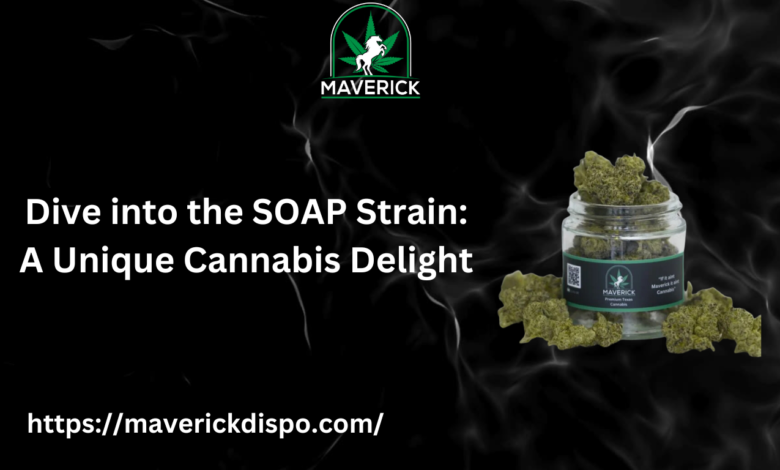 SOAP Strain