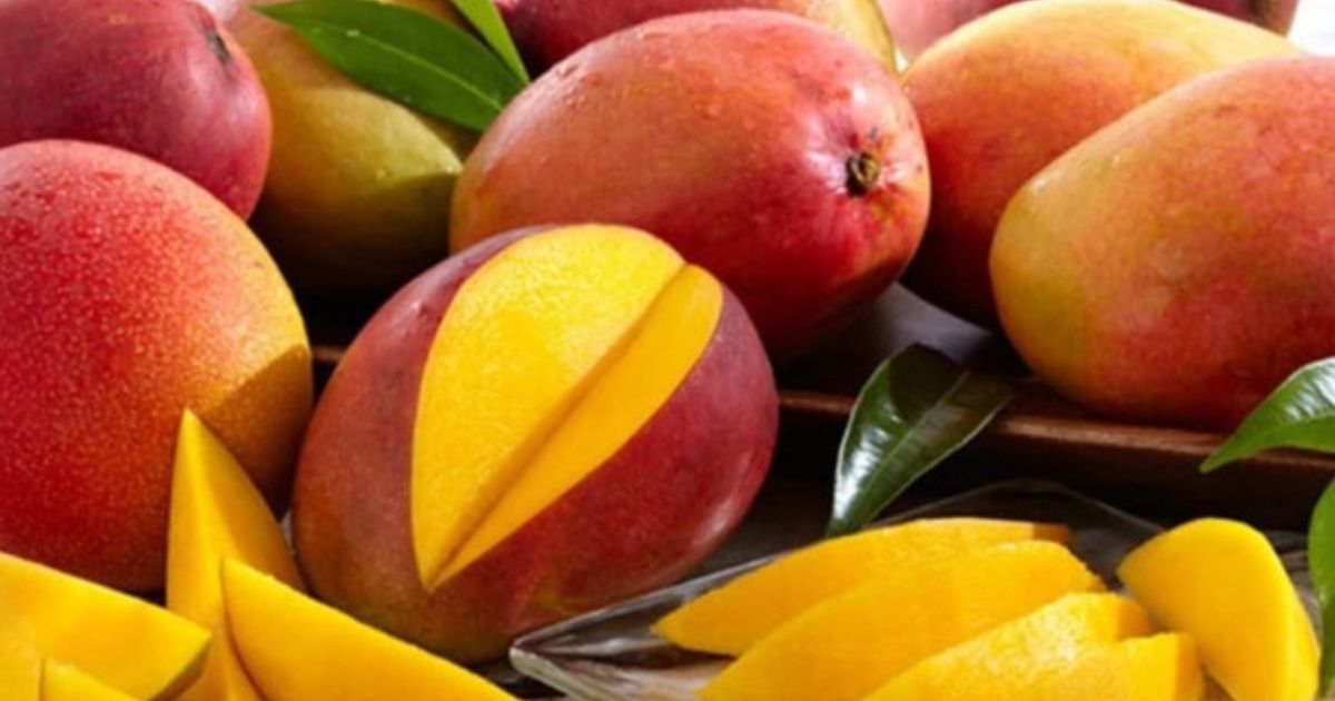 Best Pakistani Mangoes Online from Chanab Farms showcasing their vibrant color and quality.