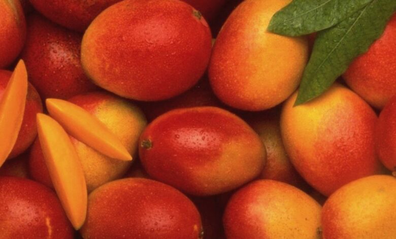 A selection of Best Pakistani Mangoes Online ready for online purchase