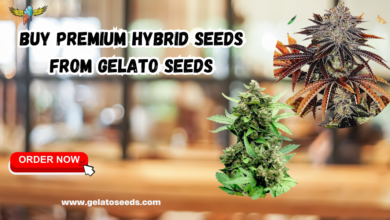 hybrid seeds