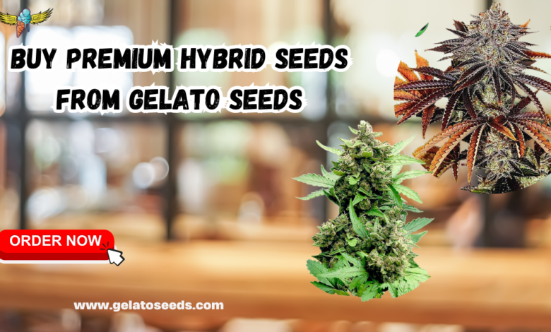 hybrid seeds