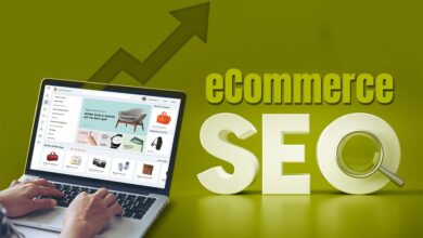 Ecommerce SEO Packages