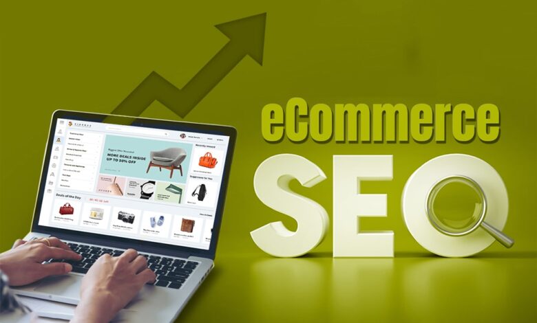 Ecommerce SEO Packages