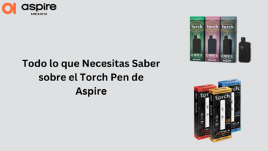 Torch Pen