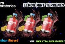 Lemon Mint Terpenes