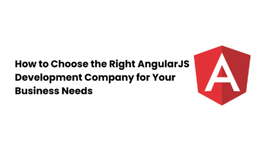 How to Choose the Right AngularJS Development Company for Your Business Needs