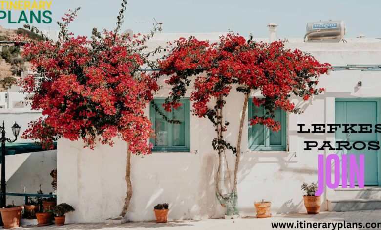 Spend in Lefkes, Paros