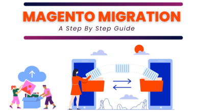 Magento Migration Services