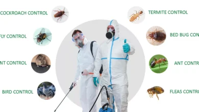 pest treatment services