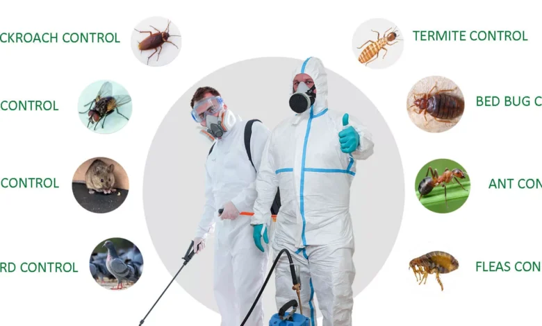 pest treatment services