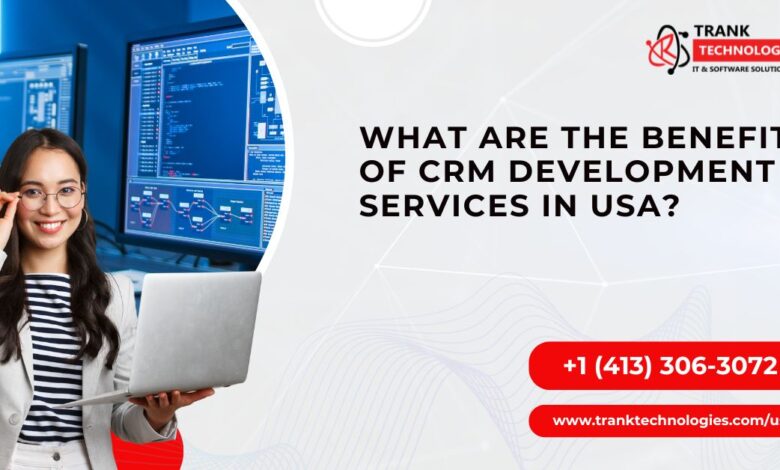 What Are The Benefits Of CRM Development Services In USA