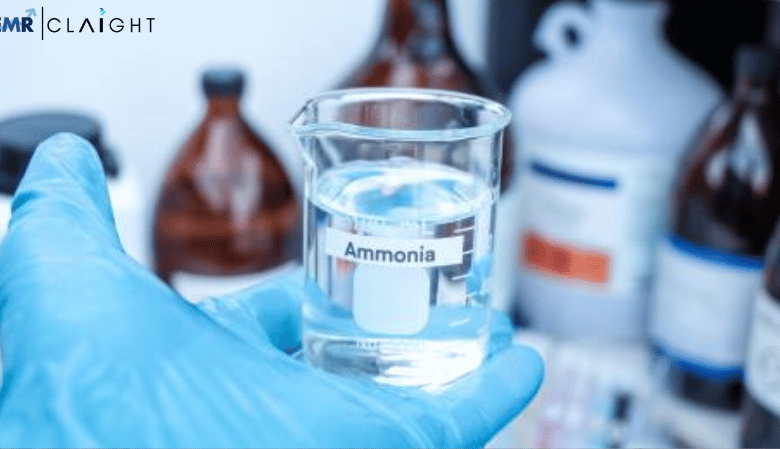 Ammonia Market