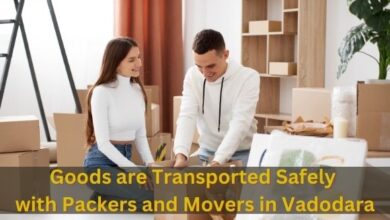 Local Packers and Movers in Vadodara