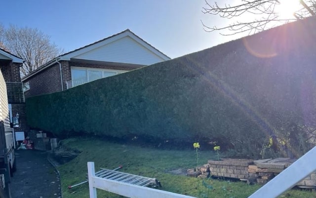 hedge trimming Waterlooville