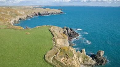 Pembrokeshire Camping