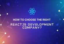 react.js development company