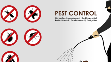 termite control Lahore