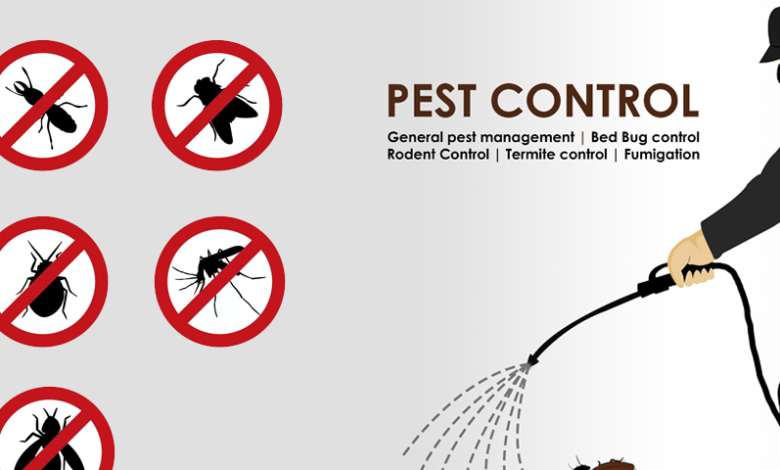 termite control Lahore