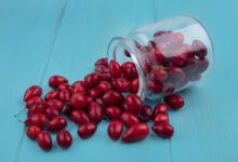 Montmorency Cherry Capsules