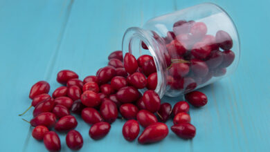 Montmorency Cherry Capsules