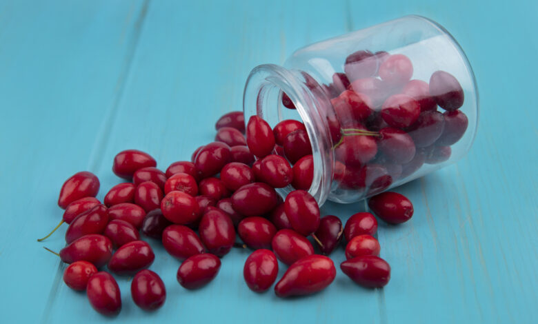 Montmorency Cherry Capsules